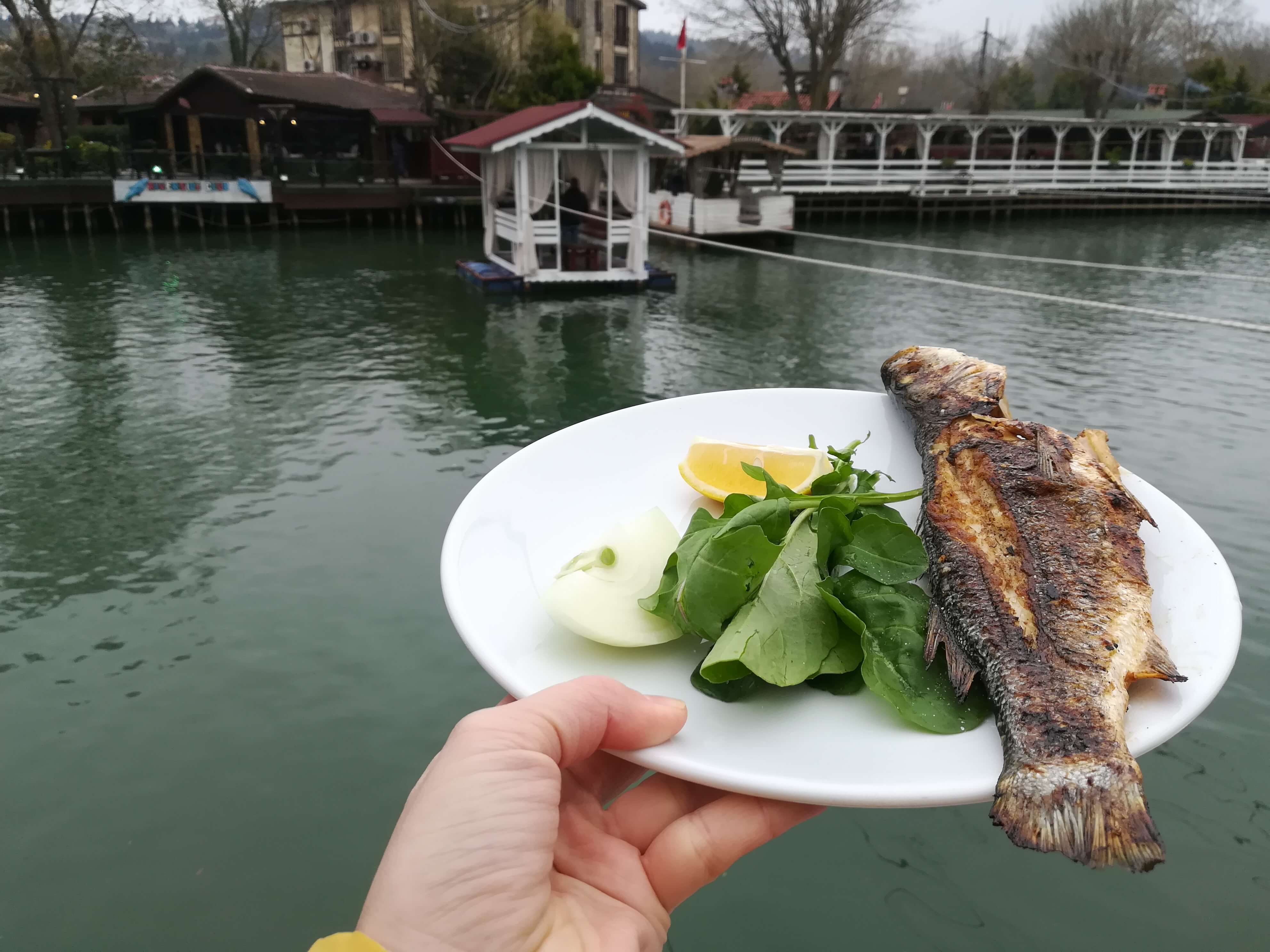 Şile, Ağva, Polonezköy